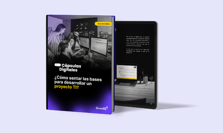 ¿Cómo sentar las bases para desarrollar un proyecto TI?