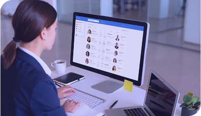 Perfiles estratégicos